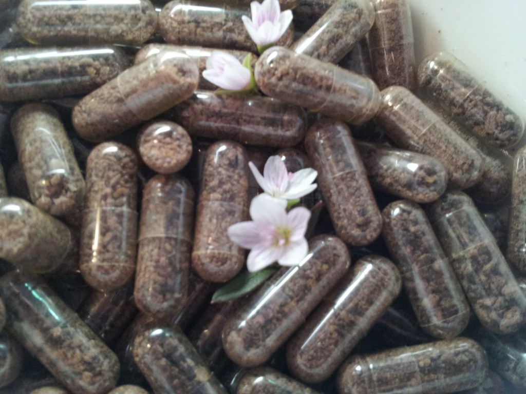 Placenta Encapsulation Certification