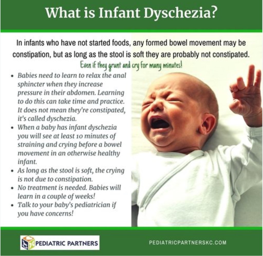 💩 Understanding Infant Dyschezia: When Pooping Looks Hard but&nbsp;Isn’t