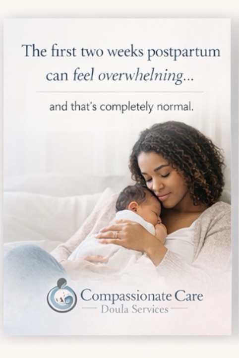 The First 2 Weeks Postpartum: What No One Prepares You For (And How to Feel&nbsp;Supported)